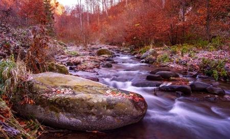 River in mountain forestの写真素材