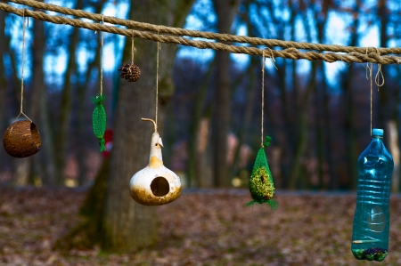 Bird feeders in the forestの写真素材