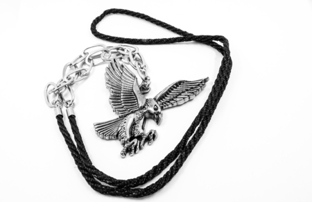 Necklace for men. Eagle. One color background.の写真素材