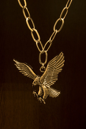 Necklace for men. Eagle. One color background.の写真素材