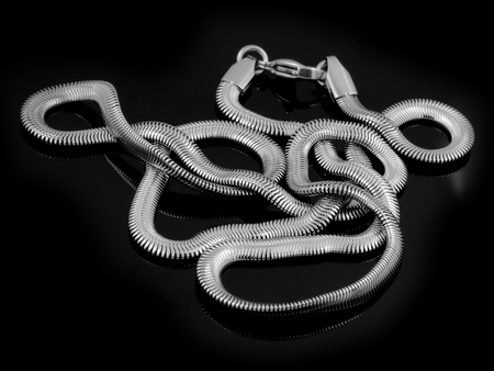 Necklace - Stainless Steel - One background colorの写真素材