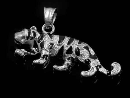 Jewelry Beast Pendant. Puma, panther, tiger, cat. Stainless steel. One background color.の写真素材