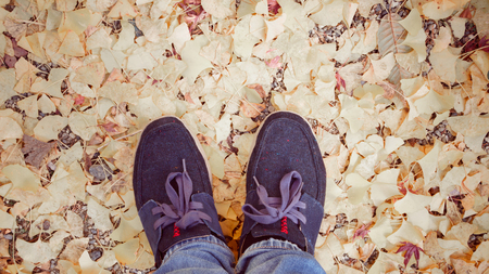 Human feet on a ground full of ginko biloba leafs background,vintage toneの写真素材