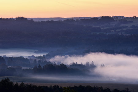 Foggy morning in countrysideの写真素材