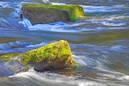 MOSS COVER ROCK IN STREAM