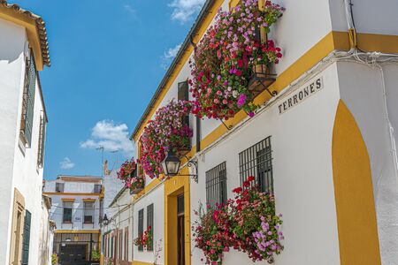 A traditional Spanish festival with open patios in Cordoba and decoration of facade of house. Andalusia. Spain.の写真素材