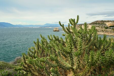 Beautiful view of famous "PeÃ±on del Cuervo" from "Torre Vigia Las Palomas" in Malaga. Costa del Sol. Spain.の写真素材
