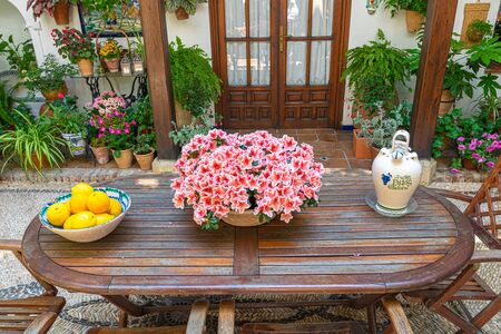 Picturesque view of center table of traditional Spanish festival with Open Patios in Cordoba. Andalusia. Spain.の写真素材