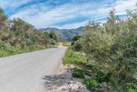 Mountain road through country with blue sky clouds.の写真素材
