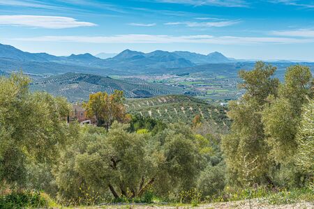 Panoramic View of "Villanueva of Trabuco" from "High Viewpoint". Malaga. Spain.の写真素材