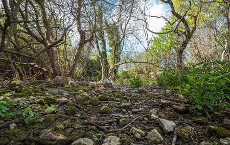 Beautiful view of vegetation and nature of Source of the Guadalhorce River near to famousの写真素材