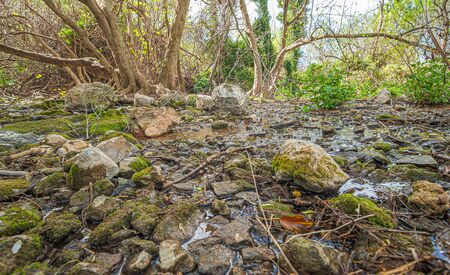 Beautiful view of vegetation and nature of Source of the Guadalhorce River near to famous "Fountain a hundred pipes"の写真素材