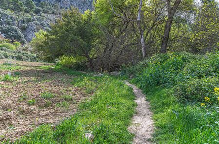 Track next to the famous "Fountain one hundred pipes". Villanueva del Trabuco. Andalusia. Spain.の写真素材
