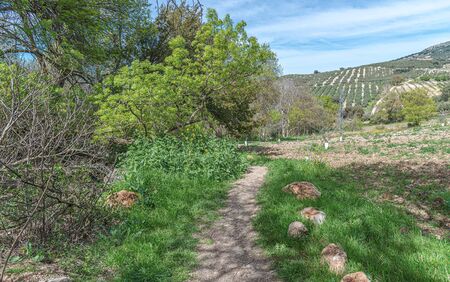 Track next to the famous "Fountain a hundred pipes". Villanueva del Trabuco. Andalusia. Spain.の写真素材