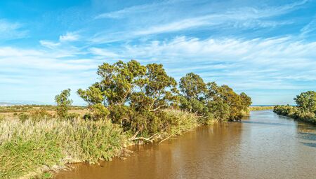 View of Natural Park of River Mouth Guadalhorce. Costa del Sol. Malaga. Spain.の写真素材