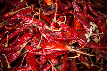 Chili pepperの写真素材