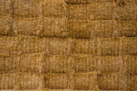 Many straw or hay bales stacked on a big pile.の写真素材
