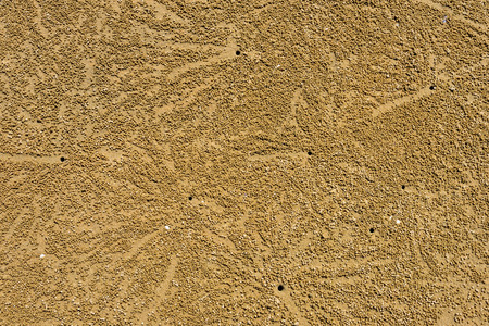 Beach crab markings on sand. For background.の写真素材