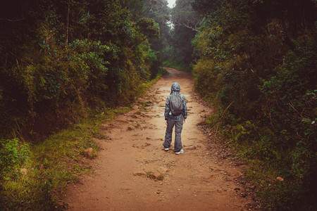 Young boy with a backpack walks on a jungle roadの写真素材