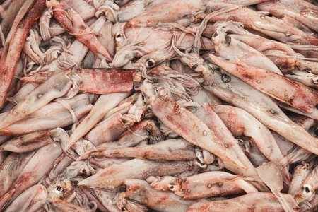 Fresh squid in the market