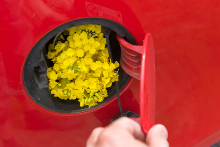 Open fuel tank lid in red car with rapeseed.の写真素材