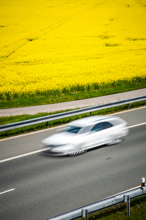 White car drives on a road through a blossom rapeseed field.の写真素材