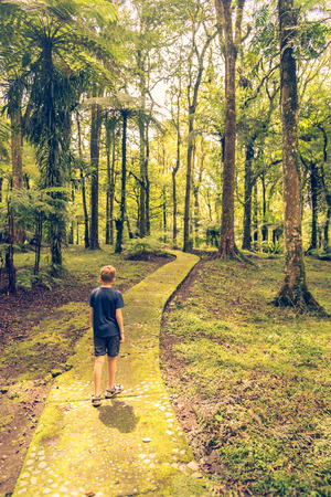 A children walk a way in forest.の写真素材