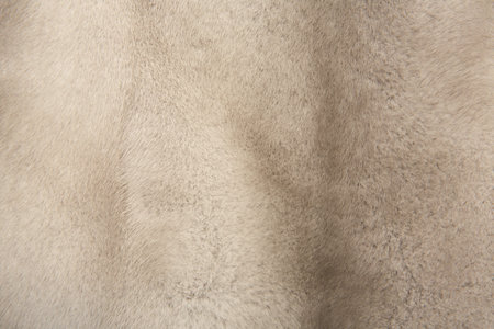 gray soft fur laid flat