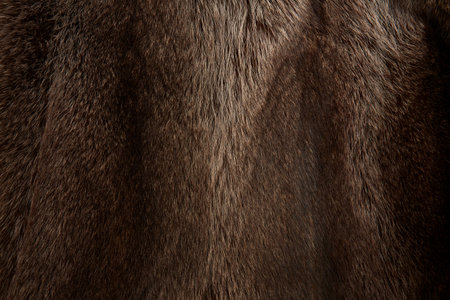 dark brown fur loosely laid