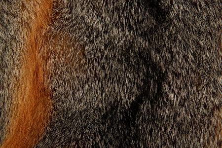Close up of a fur coat