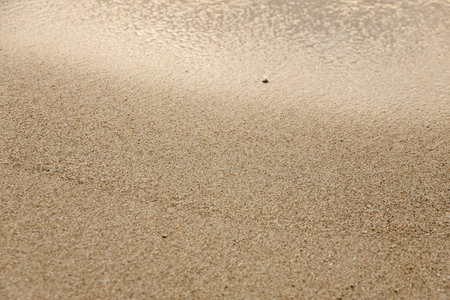 Wet sand in the evening sun