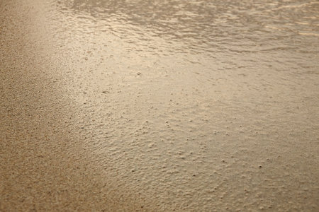 Wet sand in the evening sunの写真素材