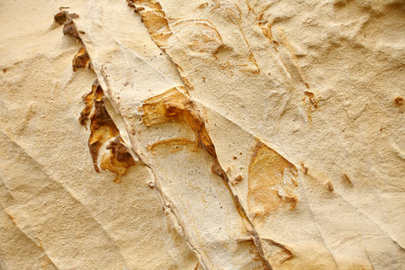 Texture of a historic sandstone wall