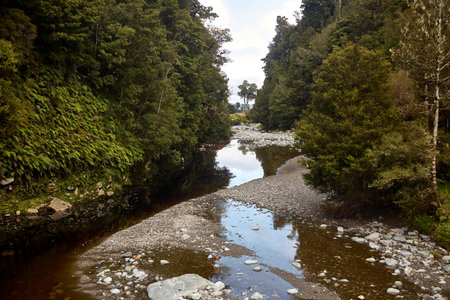 walking in a new zealand landscape
