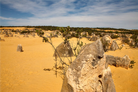 Landscape Desert View from Pinnacles in the desert of Nambung National Park Western Australia.