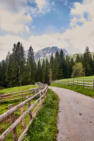 Panoramic hike through the beautiful landscape in Montenegroの写真素材