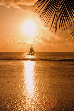 Island sunset の写真素材