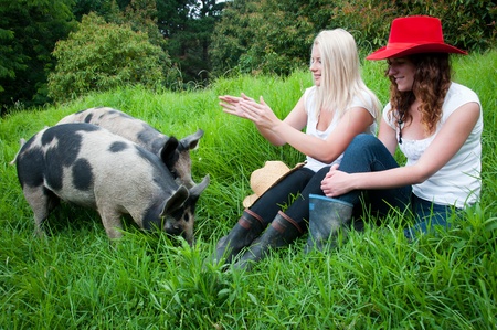 Country girls with pigs in paddockの写真素材