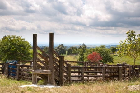Cattle yards of loading ramp on farmの写真素材