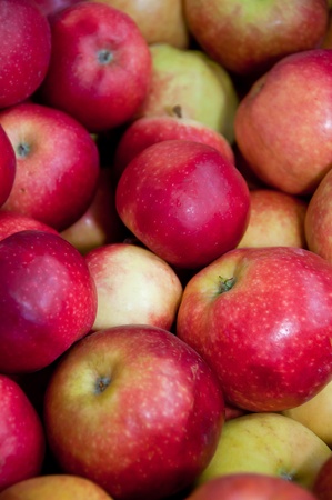 Red delicious apples organically grownの写真素材