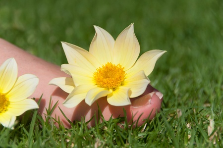 Feet with a flowersの写真素材