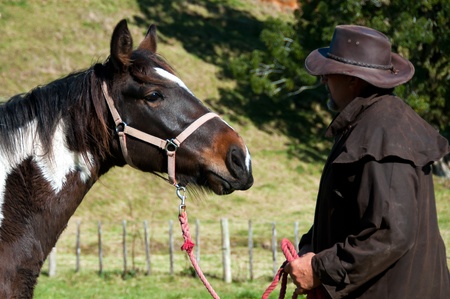 Working with horse, settling to train and break inの写真素材