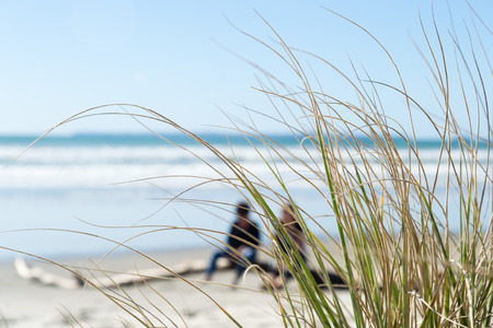 People relaxing sitting at the beach on a log of driftwoodの写真素材