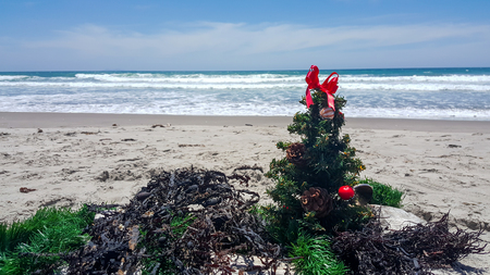 Beach Christmas celebration in the southern hemisphereの写真素材