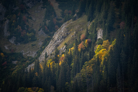 Beautiful autumn alpine landscape with colorful forest and high rocks.の写真素材