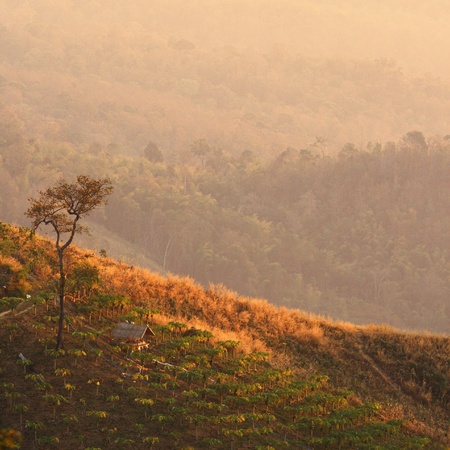 a hut on a hillの写真素材