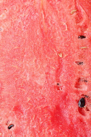 detailed closeup of watermetonの写真素材