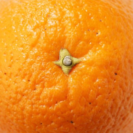 citrus fruits slices. Oranges. detail close upの写真素材