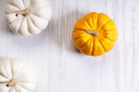 orange pumpkin on white wooden backgroundの写真素材