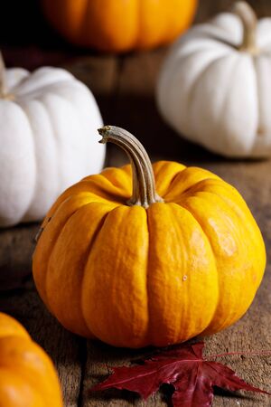 orange pumpkin on rustic wooden backgroundの写真素材